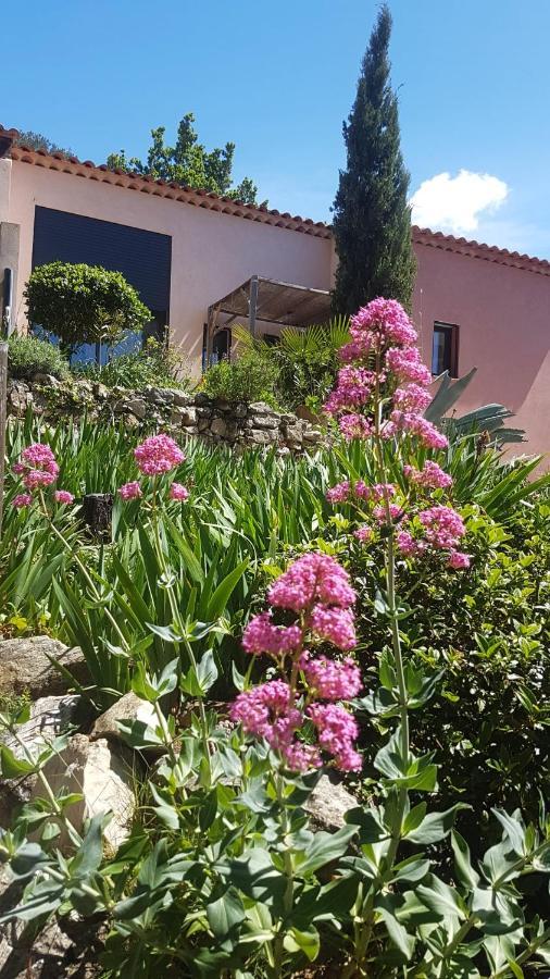Bastide Cigaline Villa Le Beausset Eksteriør billede