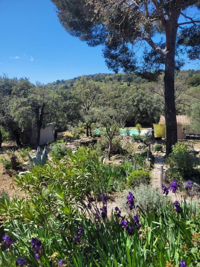 Bastide Cigaline Villa Le Beausset Eksteriør billede