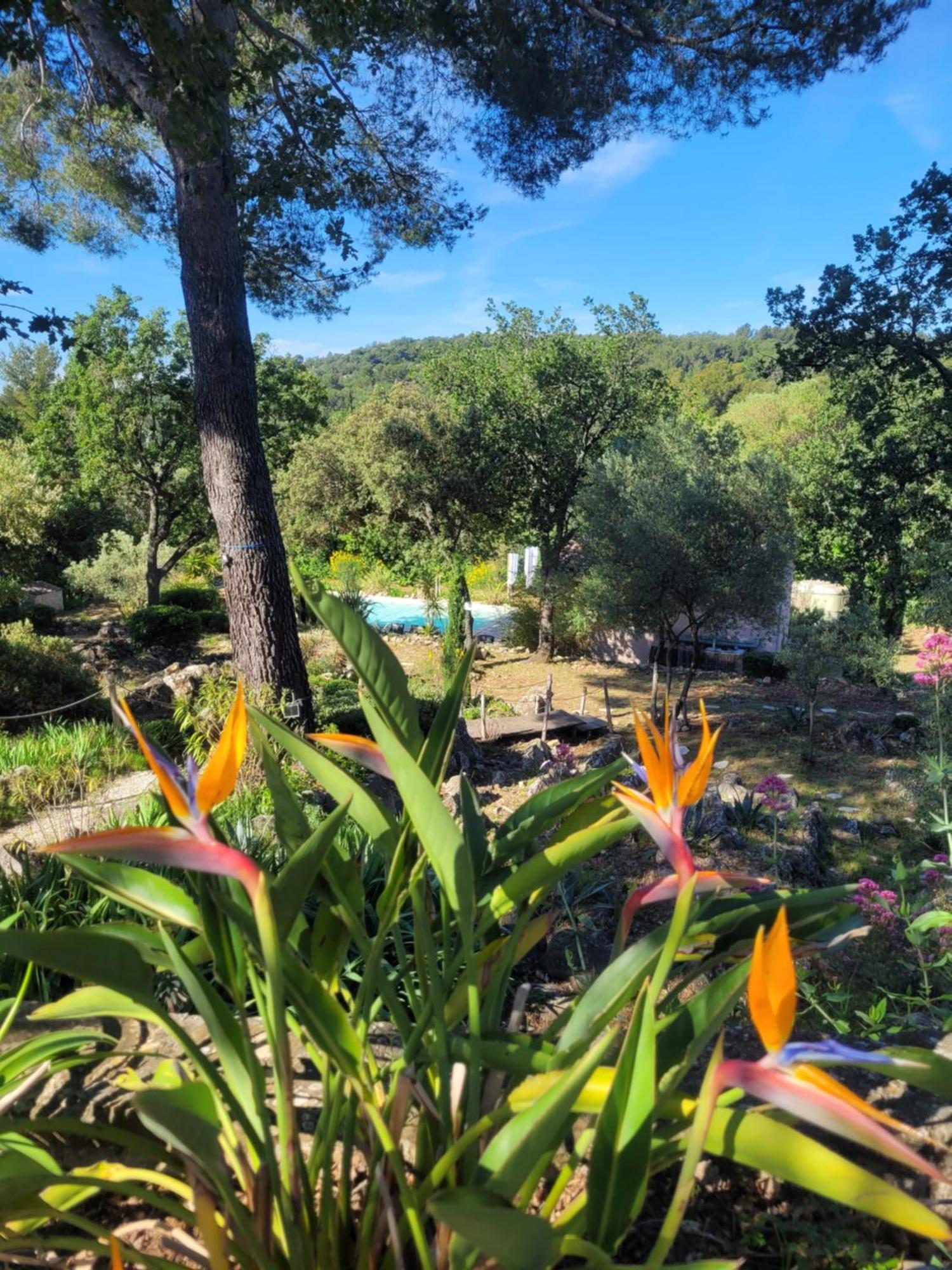 Bastide Cigaline Villa Le Beausset Eksteriør billede