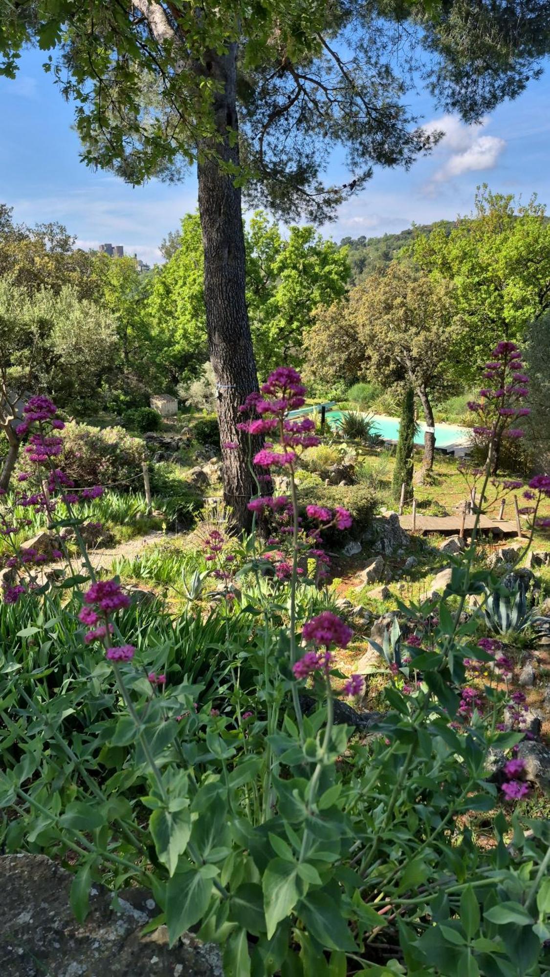 Bastide Cigaline Villa Le Beausset Eksteriør billede